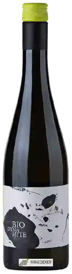 Weingut Pflüger - Biodynamite Blanc