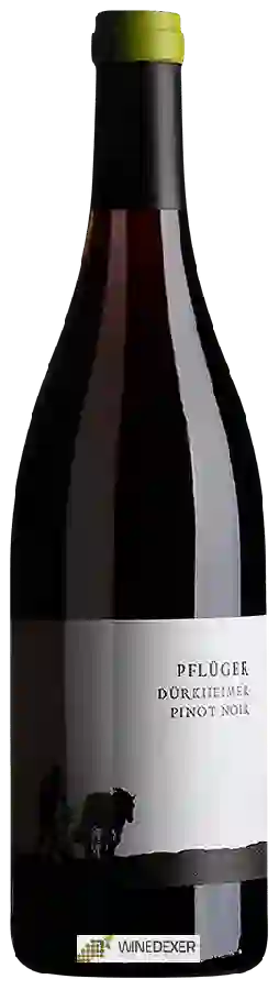 Weingut Pflüger - Dürkheimer Pinot Noir