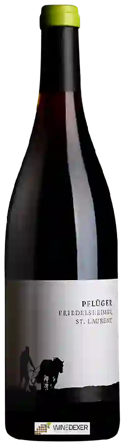 Weingut Pflüger - Friedelsheimer St. Laurent Weingut Pflüger - Friedelsheimer St. Laurent