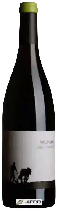 Weingut Pflüger - Junge Reben Weingut Pflüger - Junge Reben