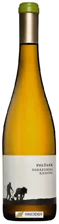 Weingut Pflüger - Herrenberg Riesling Weingut Pflüger - Herrenberg Riesling