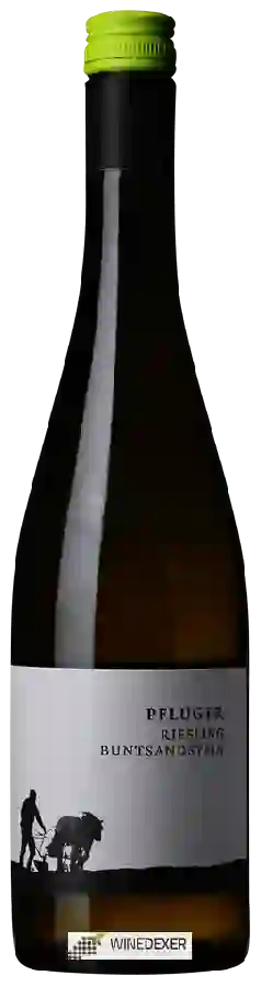 Weingut Pflüger - Riesling Buntsandstein