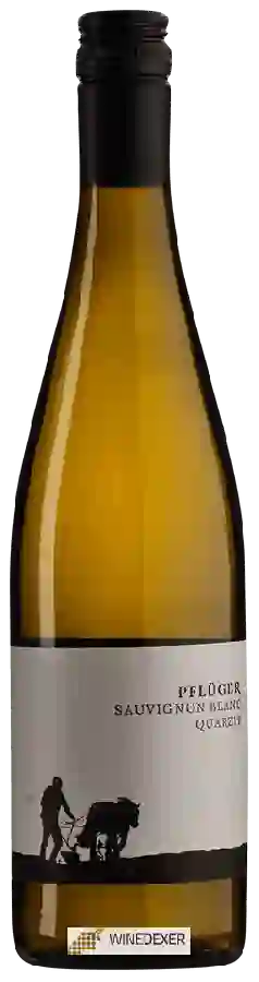 Weingut Pflüger - Sauvignon Blanc Quarzit Weingut Pflüger - Sauvignon Blanc Quarzit