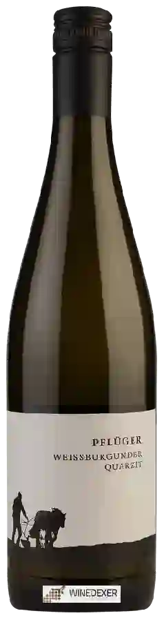Weingut Pflüger - Weissburgunder Quarzit Weingut Pflüger - Weissburgunder Quarzit