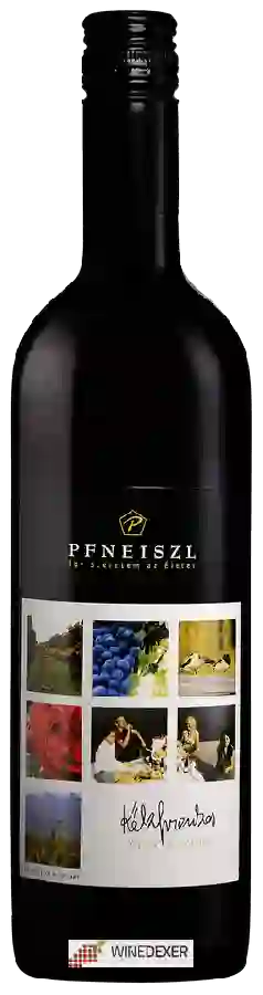 Winery Pfneiszl - Kékfrankos Újra Együtt Winery Pfneiszl - Kékfrankos Újra Együtt