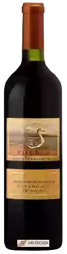 Winery Phebus - Cabernet Sauvignon - Merlot
