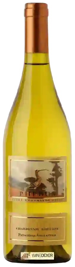 Winery Phebus - Chardonnay - Sémillon