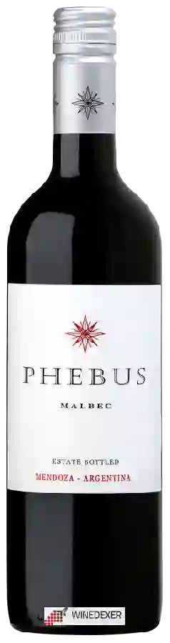 Winery Phebus - Malbec Winery Phebus - Malbec