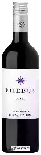 Winery Phebus - Syrah