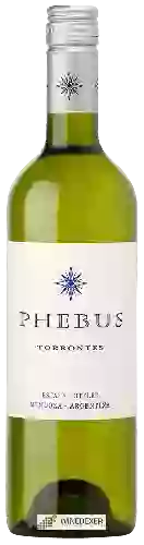Winery Phebus - Torrontes