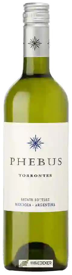 Winery Phebus - Torrontes Winery Phebus - Torrontes