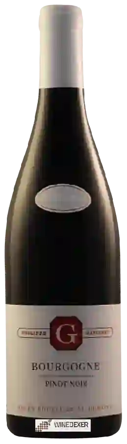 Winery Philippe Gavignet - Bourgogne Pinot Noir Winery Philippe Gavignet - Bourgogne Pinot Noir