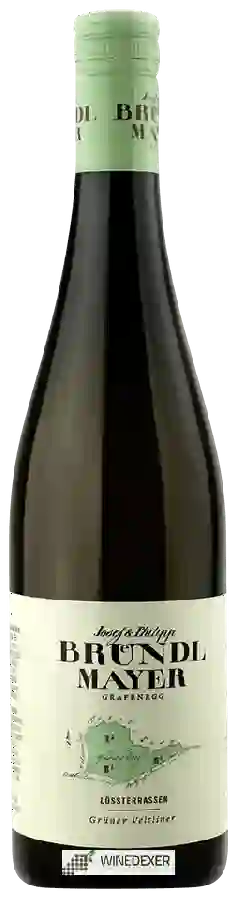 Winery Philipp Bründlmayer - Grüner Veltliner Lössterrassen
