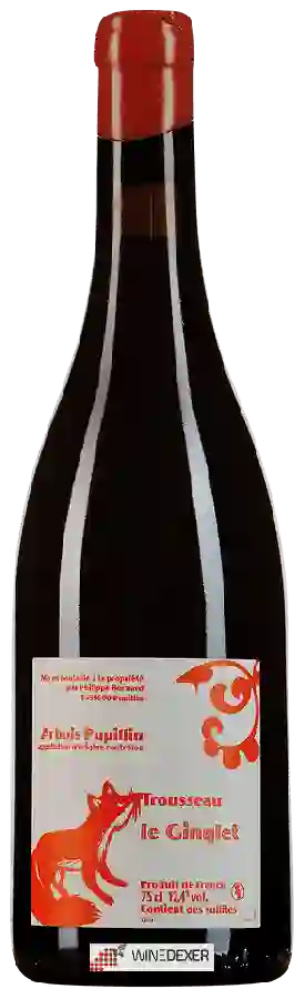 Winery Philippe Bornard - Le Ginglet Arbois Pupillin Winery Philippe Bornard - Le Ginglet Arbois Pupillin