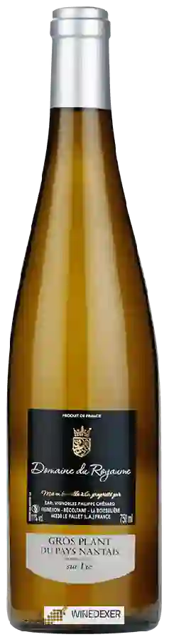 Winery Philippe Chénard - Domaine du Royaume Gros Plant du Pays Nantais Sur Lie