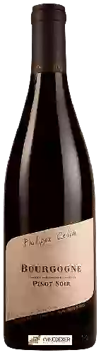Winery Philippe Colin - Bourgogne Pinot Noir