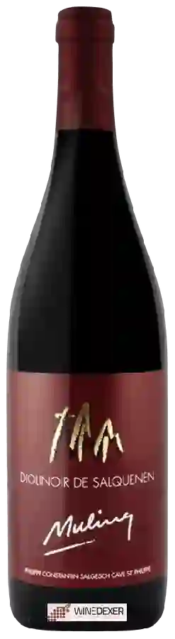 Cave St. Philippe - Muling Diolinoir de Salquenen