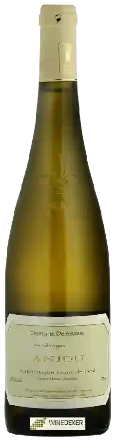 Domaine Philippe Delesvaux - Authentique Franc de Pied Anjou