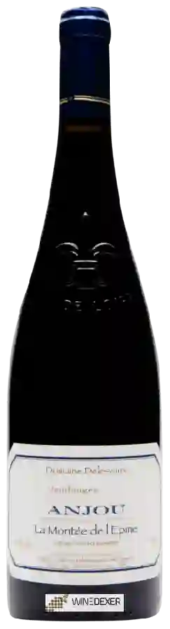 Domaine Philippe Delesvaux - La Montée de l'Epine Anjou