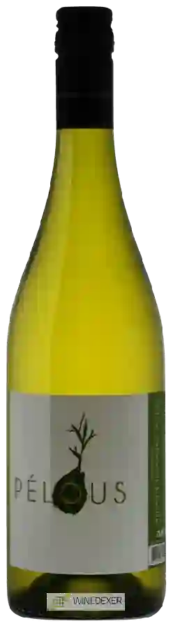 Winery Philippe Nusswitz - Pélous Blanc