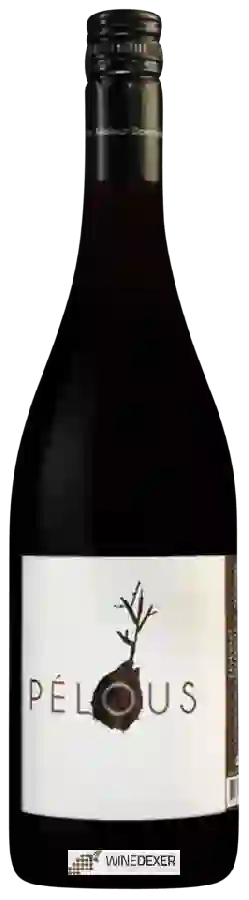 Winery Philippe Nusswitz - Pélous Rouge