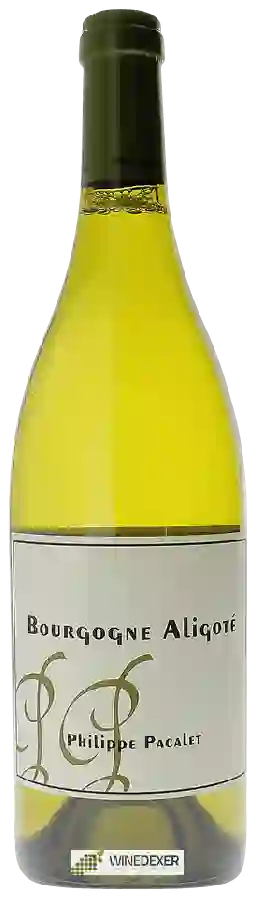 Winery Philippe Pacalet - Bourgogne Aligoté Winery Philippe Pacalet - Bourgogne Aligoté
