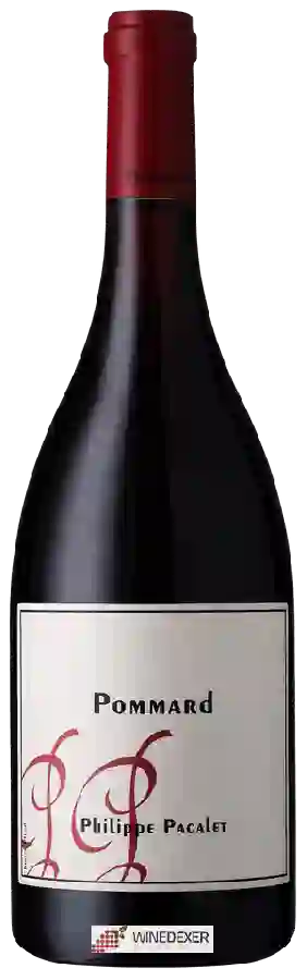 Winery Philippe Pacalet - Pommard
