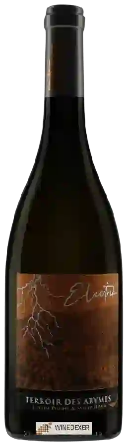 Winery Philippe Ravier - Elechtrik Terroir des Abymes