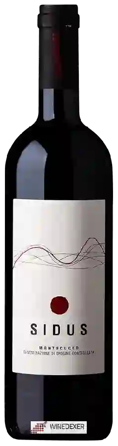 Winery Pianirossi - Sidus Montecucco Winery Pianirossi - Sidus Montecucco