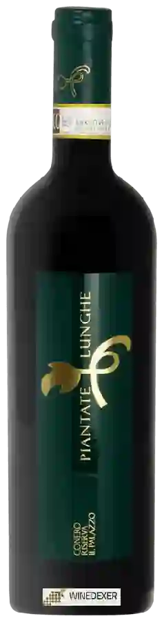 Winery Piantate Lunghe - Il Palazzo Conero Riserva