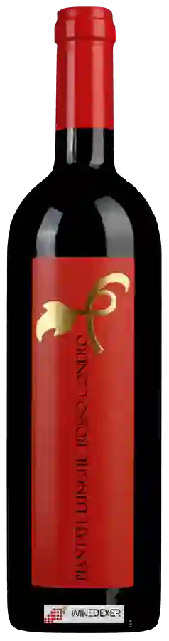 Winery Piantate Lunghe - Rosso Conero Winery Piantate Lunghe - Rosso Conero
