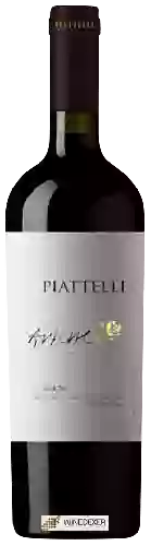 Winery Piattelli - Arlene Serie Blend