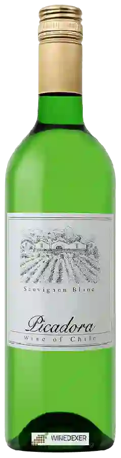 Winery Picadora - Sauvignon Blanc Winery Picadora - Sauvignon Blanc