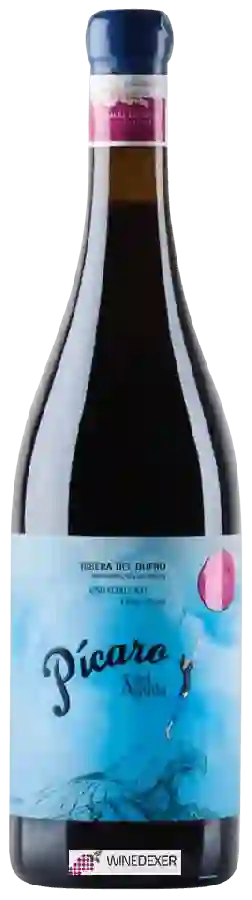Winery Dominio del Aguila - P&iacutecaro Vi&ntildeas Viejas