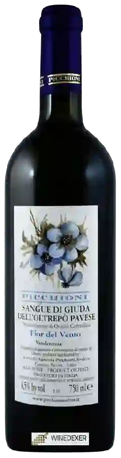 Winery Picchioni Andrea - Fior del Vento Sangue di Giuda dell’Oltrepò Pavese