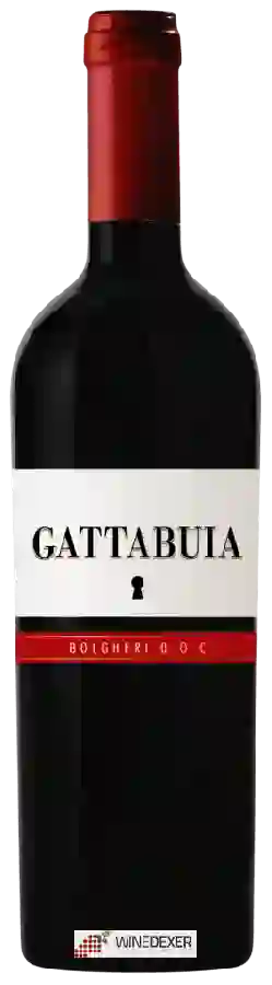 Winery Piccini - Gattabuia Bolgheri Winery Piccini - Gattabuia Bolgheri