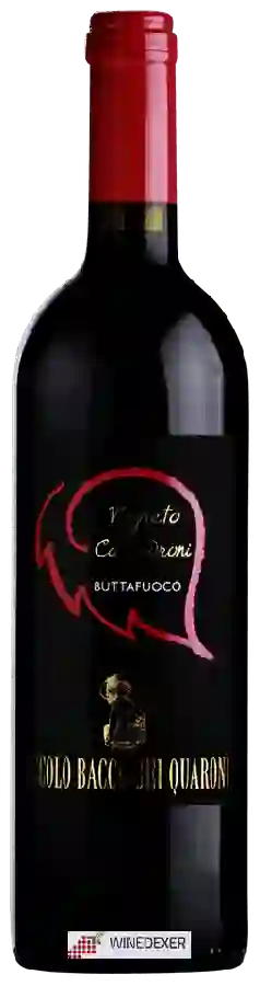 Winery Piccolo Bacco dei Quaroni - Vigneto Cà Padroni Buttafuoco