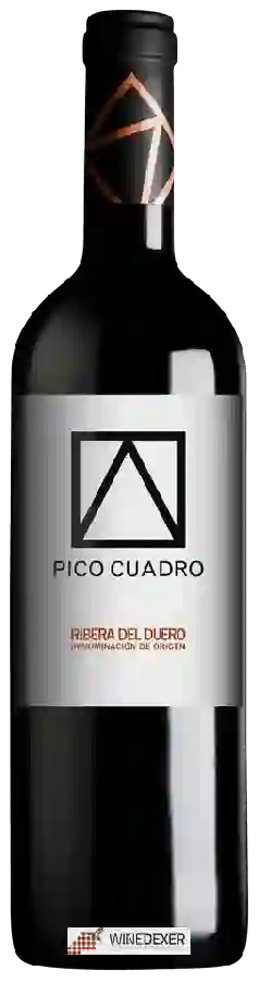 Winery Pico Cuadro - Ribera del Duero Winery Pico Cuadro - Ribera del Duero