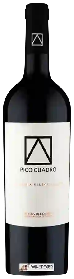 Winery Pico Cuadro - Vendimia Seleccionada Winery Pico Cuadro - Vendimia Seleccionada