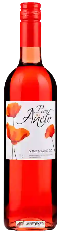 Winery Pico de Aneto - Rosé