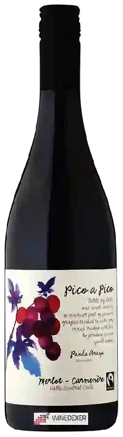 Winery Pico a Pico - Merlot - Carménère Winery Pico a Pico - Merlot - Carménère