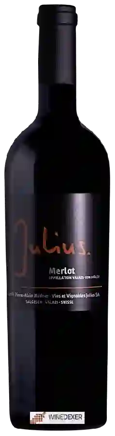 Winery Julius - Merlot