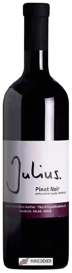 Winery Julius - Pinot Noir