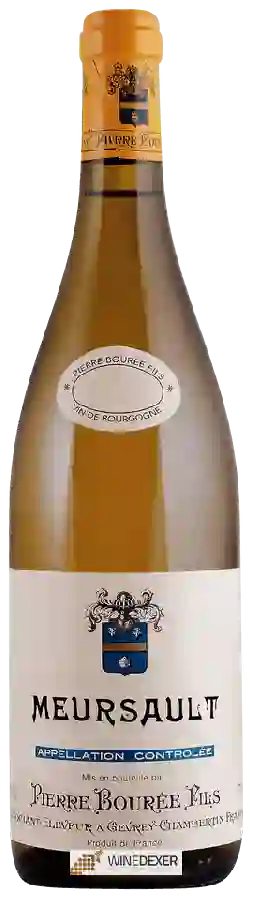Winery Pierre Bourée Fils - Meursault