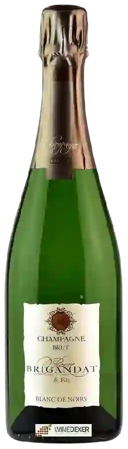 Winery Pierre Brigandat & Fils - Blanc de Noirs Brut Champagne