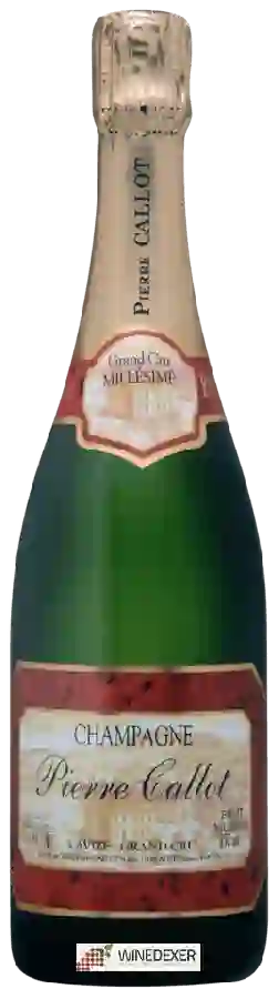 Winery Pierre Callot - Millésime Brut Champagne Grand Cru 'Avize' Winery Pierre Callot - Millésime Brut Champagne Grand Cru 'Avize'