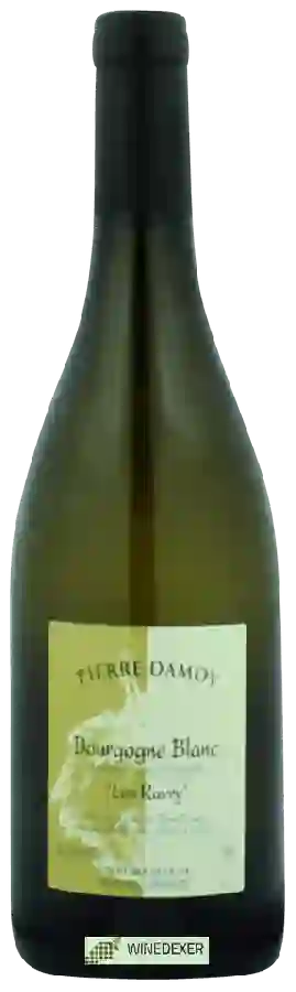 Winery Pierre Damoy - Bourgogne Blanc 'Les Ravry'