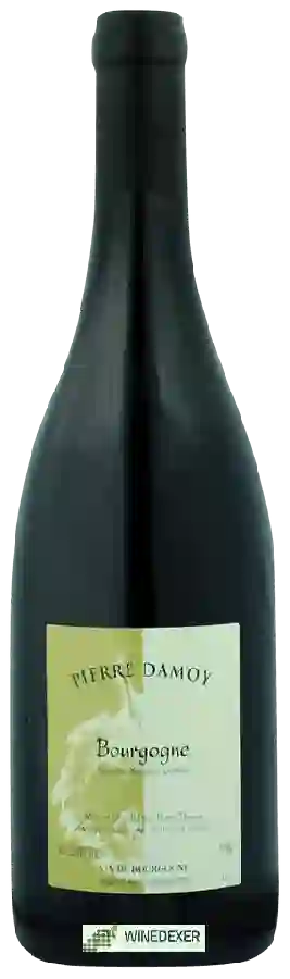 Winery Pierre Damoy - Bourgogne