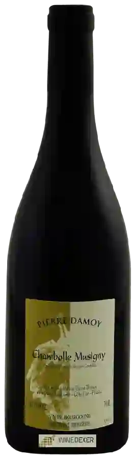 Winery Pierre Damoy - Chambolle-Musigny