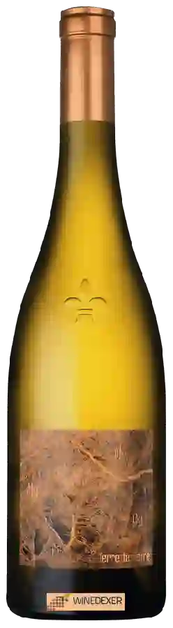 Winery Pierre Luneau-Papin - Terre de Pierre Winery Pierre Luneau-Papin - Terre de Pierre